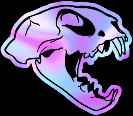 Cat Skull