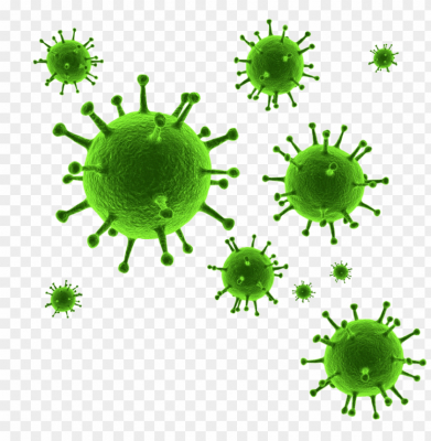 coronavirus covid 19 115825768154xalhy0id4