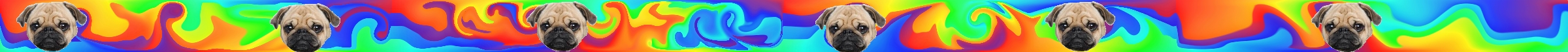 Lava Rainbow Pug