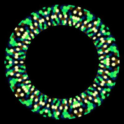 hexagon round preview