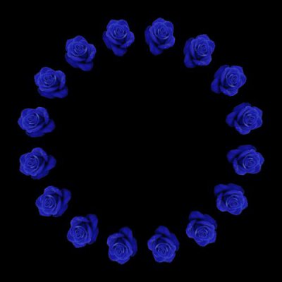 blue rose round preview