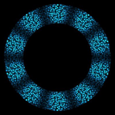 abstract round preview