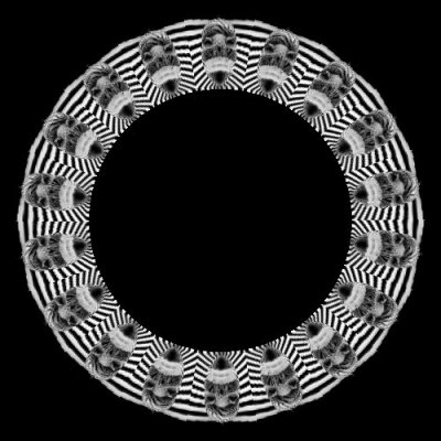 anigif enhanced buzz 24581 1378528253 5 round preview