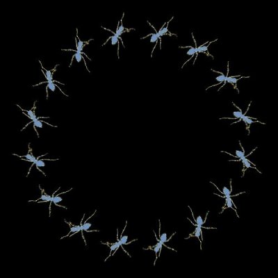 fourmiii round preview