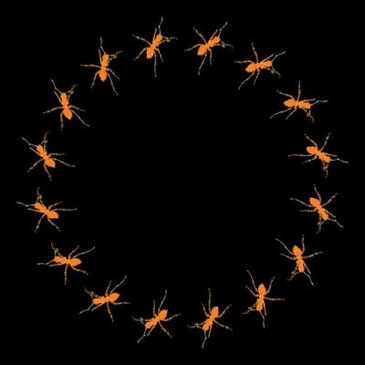 fourmiiiii round preview