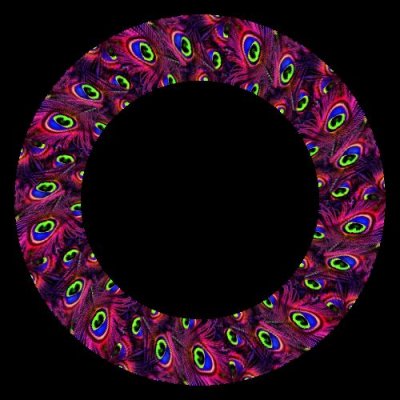 peacock feather round preview