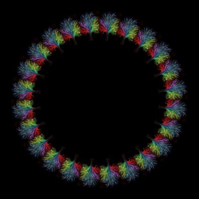 sea anemone chalk art round preview