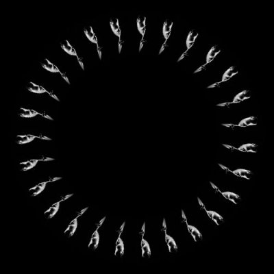 Dead men tell no tales round preview