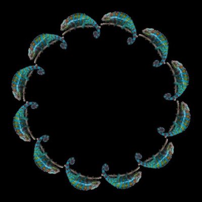 Chameleon round preview