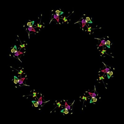 Rainbow butterfly round preview
