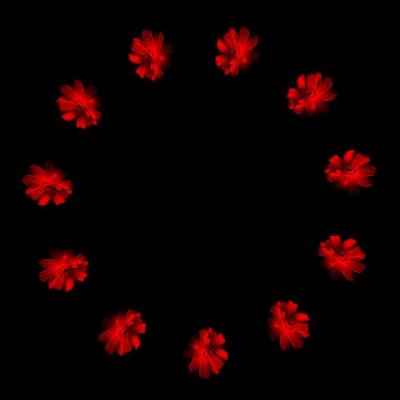 Realistic flower round preview