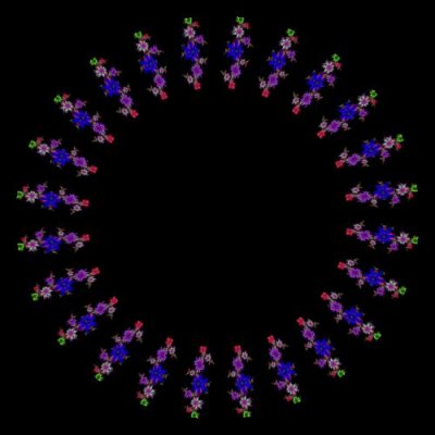 Flower animation round preview