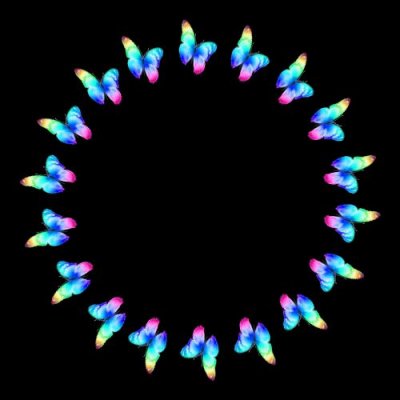 butterfly round preview