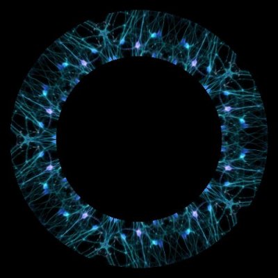 neurons 1 round preview