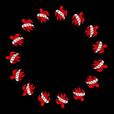 Dive  Turtle round preview
