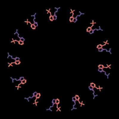 psilocybin round preview