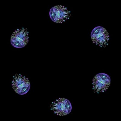 Space Jelly round preview