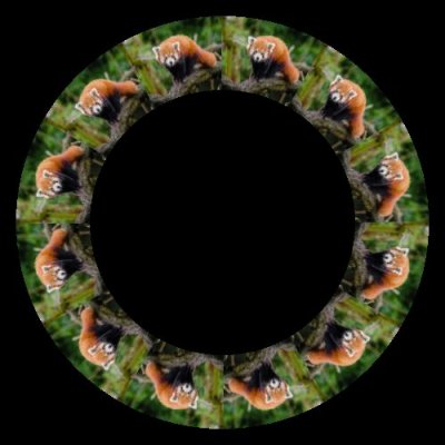 red panda round preview