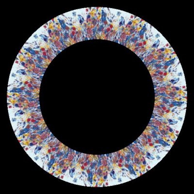 final evolution round preview