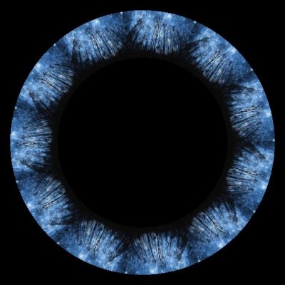 forest round preview