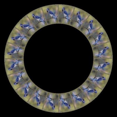 Quebec Geai bleu round preview