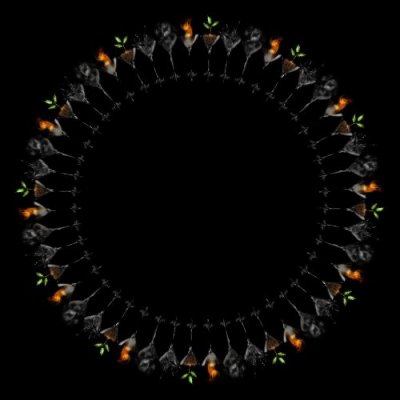 four elements glass round preview