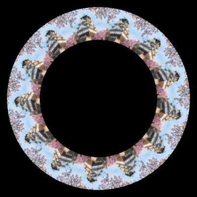 shutterstock 266822555 1 round preview