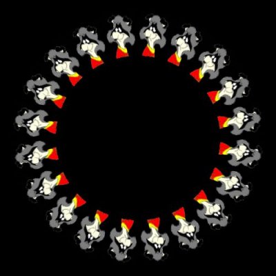 bert racoon $ round preview