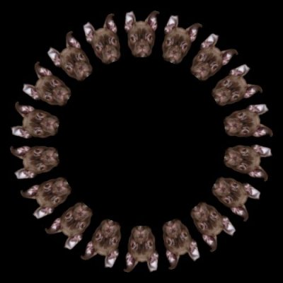 aries the dog $ round preview