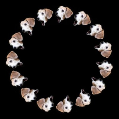 dog head bark round preview