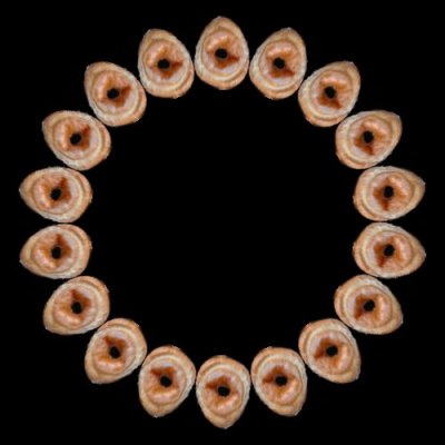 food donut a round preview