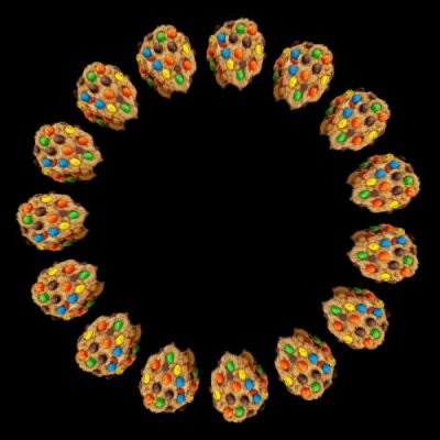 food cookie L round preview