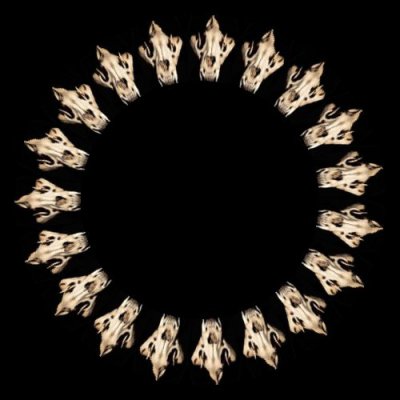 skull tiger $ round preview