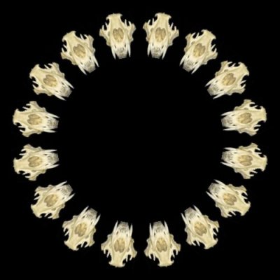 skull lion $ round preview