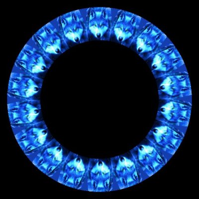 wolf blue round preview