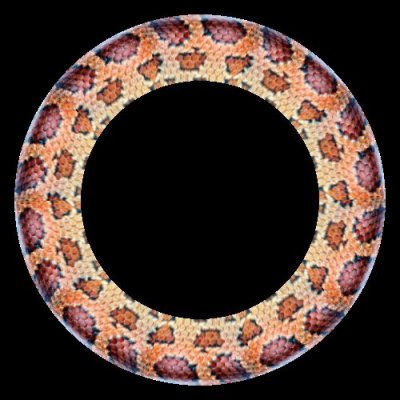 snake skin round preview
