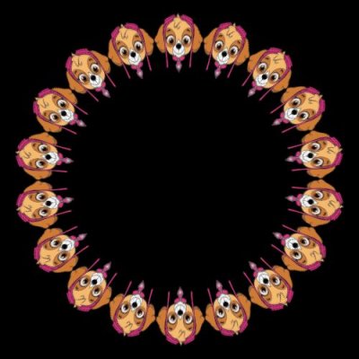 paw patrol skye round preview