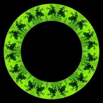 cool tree frog$ round preview
