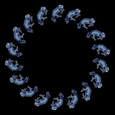 frog blue $ round preview