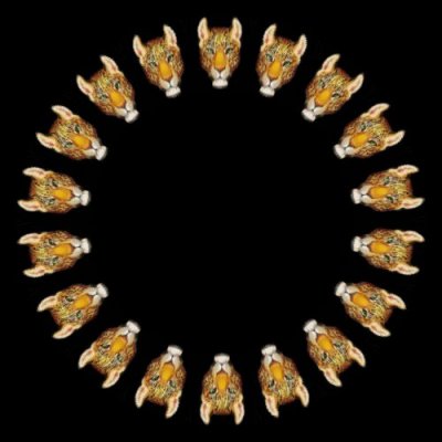 black jag $ round preview