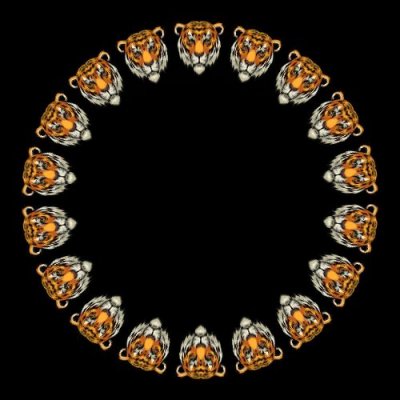 tiger face round preview