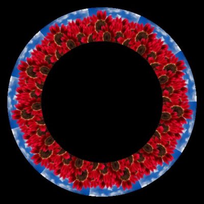 red sunflower round preview