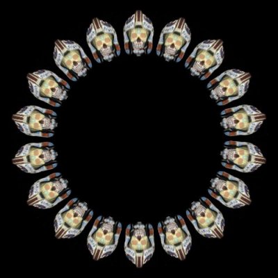 rebel sugar skull round preview