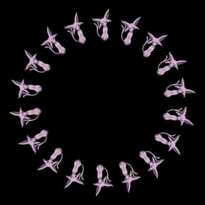 espion round preview