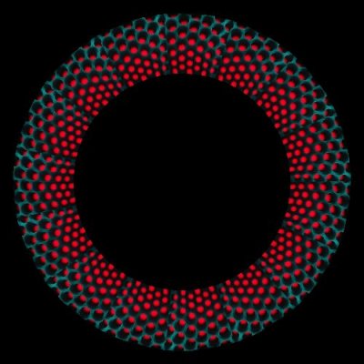 geometric round preview