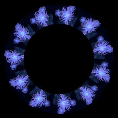 anieme round preview