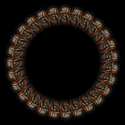 Tiger 3 round preview