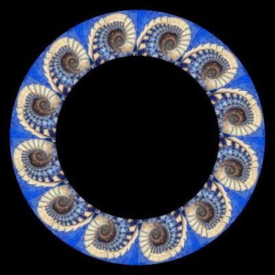 Spiral trippy  6 round preview