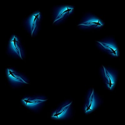 sharks skew round preview