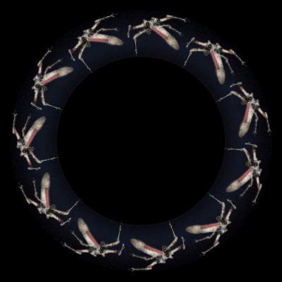 star wars x Wing round preview